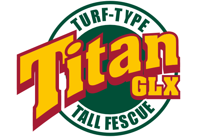 svg logo
